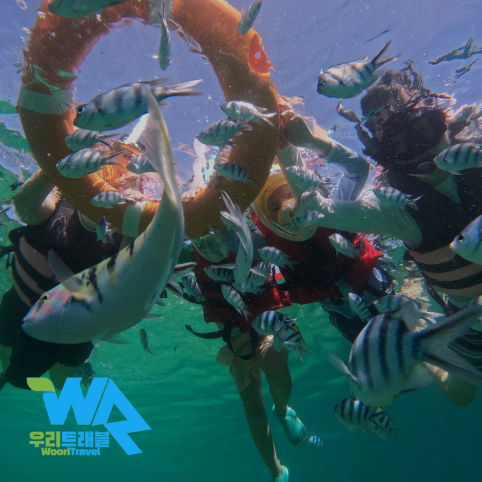 말레이시아 코타키나발루에서 올해 5월 출범한 현지법인 여행사인 ‘우리트래블’은 자사가 단독 운영 중인 투어 패키지 상품이 여행객들에게 좋은 반응을 얻고 있다고 밝혔다. 사진=우리트래블