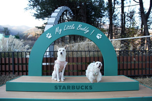 [HOT 마켓 트렌드] &quot;반려동물과 함께&quot;…신세계그룹, '반려동물' 특화 마케팅 ... - 뉴스 썸네일 이미지