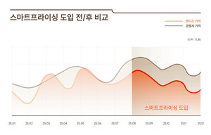 핸디즈, 객실 가격 낮췄더니 매출 늘었다...'스마트 프라이싱 2.0' 도입 효... - 뉴스 썸네일 이미지